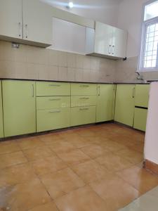 Kitchen Image of 1650 Sq.ft 3.5 BHK Apartment / Flat for rent in Transport Nagar Lucknow for Rs. 18500