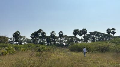 Image of 5400 Sq.ft Residential Plot / Land for sale in Chivvemla, Suryapet for Rs. 2700000