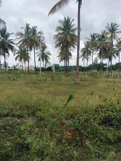 Kammasandra Main Image 1