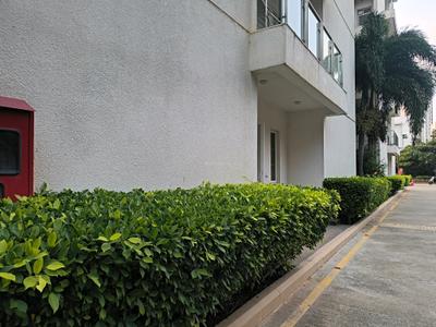 Bedroom Three Image of 4041 Sq.ft 4 BHK Apartment / Flat for rent in Prestige White Meadows, Whitefield Bengaluru for Rs. 200000