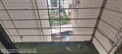 Balcony Image of 980 Sq.ft 2 BHK Apartment / Flat for rent in Hadapsar Pune for Rs. 25000