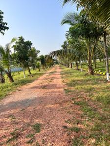 Image of 111 Sq.ft Residential Plot / Land for sale in Kothavalasa, Visakhapatnam for Rs. 666000