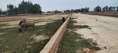 Image of 1000 Sq.ft Residential Plot / Land for sale in Taqtical Town, Gadia, Barabanki for Rs. 1200000