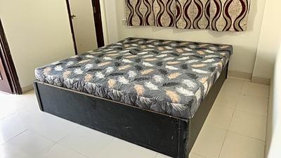 Bedroom Image of 800 Sq.ft 1 BHK Apartment / Flat for rent in Shekhar Planet, Vijay Nagar Indore for Rs. 20000