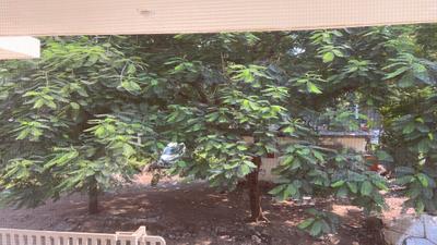 Image of 700 Sq.ft 2 BHK Apartment / Flat for rent in Majestic Kedarnath Apartments, Chembur, Mumbai for Rs. 67000