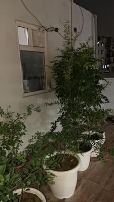 Image of 300 Sq.ft 1 RK Apartment / Flat for rent in Vasant Kunj, New Delhi for Rs. 35000