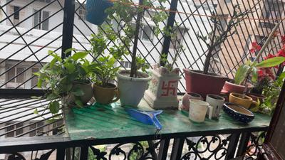 Balcony Image of 773 Sq.ft 3 BHK Apartment / Flat for sale in Rajinder Nagar New Delhi for Rs. 13500000