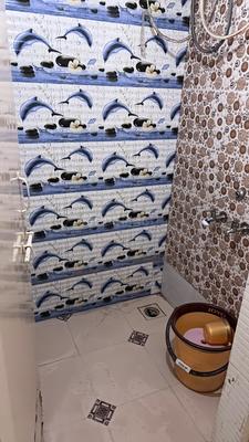 Vanashree Apartment Bathroom Two 3