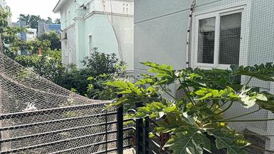 Image of 4000 Sq.ft 4 BHK Villa for rent in Vasudeva Lalitha Bloomfield, Khaja Guda, Hyderabad for Rs. 100000