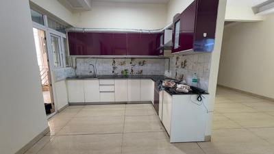 Kitchen Image of 1850 Sq.ft 3 BHK Apartment / Flat for rent in Gaurs Sports Wood, Sector 79 Noida for Rs. 46000