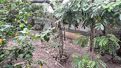 Image of 600 Sq.ft 1.5 BHK Apartment / Flat for sale in Karia Konark Nagar Phase 1, Viman Nagar, Pune for Rs. 8100000