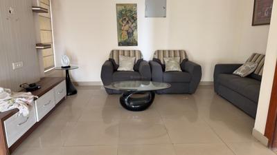 Living Room Image of 4530 Sq.ft 4 BHK Penthouse for sale in Amrapali Silicon City, Sector 76 Noida for Rs. 34100000