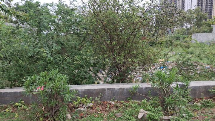 Residential Authority Plots Main Image 1
