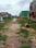 Mahuli Main Image 1