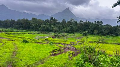 Image of 119790 Sq.ft Residential Plot / Land for sale in Murbad, Thane for Rs. 110000