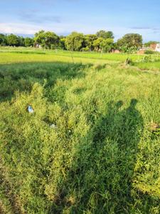 Image of 1600 Sq.ft Residential Plot / Land for sale in Sarnath, Varanasi for Rs. 3500000