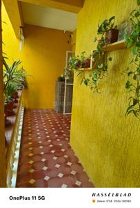 Balcony Image of 1980 Sq.ft 3 BHK Apartment / Flat for sale in Panjim Goa for Rs. 42500000