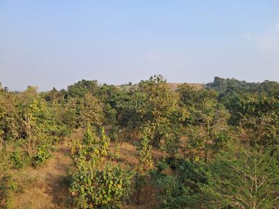 Image of 361 Sq.ft 1 RK Apartment / Flat for sale in Neral, Thane for Rs. 2300000