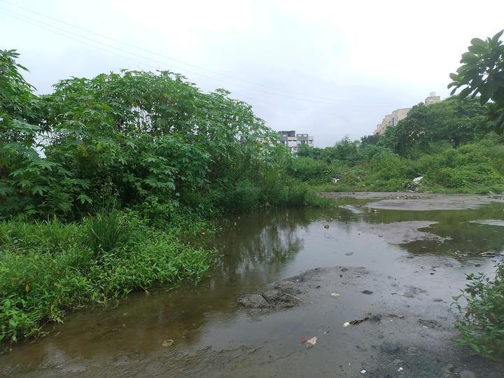 Vindhane Main Image 1