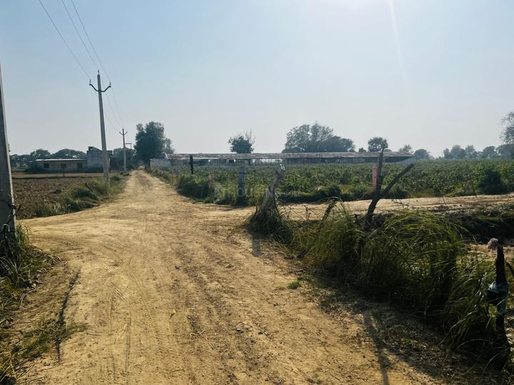 Radha Divine Society Main Image 1