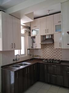 Kitchen Image of 875 Sq.ft 1 BHK Apartment / Flat for rent in Amrapali Princely Estate, Sector 76 Noida for Rs. 15000