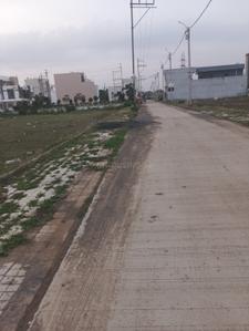 Varjinder Peace Point 3 Plot View 2