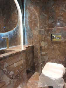 Common Bathroom Image of 2600 Sq.ft 4 BHK Builder Floor for sale in Shahpur Gurgaon for Rs. 51100000