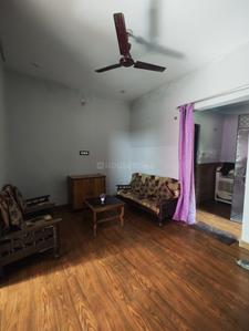 Hall Image of 650 Sq.ft 3 BHK Apartment / Flat for rent in Burari New Delhi for Rs. 12500