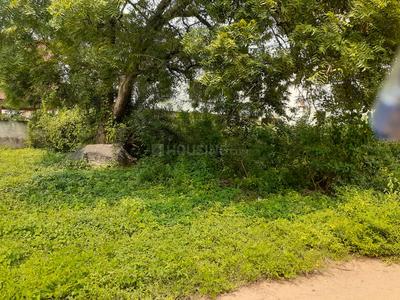 royal rajputana co Plot View 2