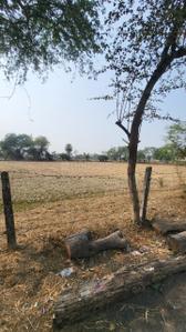 Sakri More Images 1