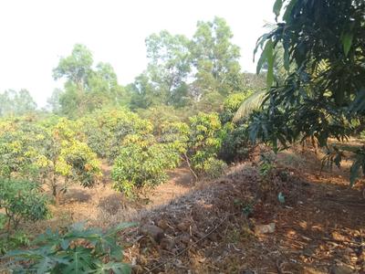 Image of 90000 Sq.ft Residential Plot / Land for sale in Trimbak, Nashik for Rs. 27500000