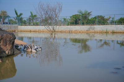 Image of 6000 Sq.ft Residential Plot / Land for sale in Muchatlahalli, Chikballapur District for Rs. 4200000