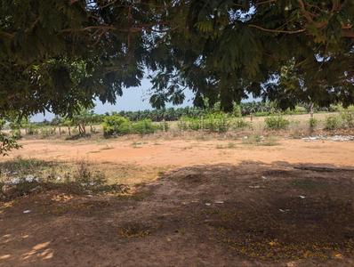 Image of 2620 Sq.ft Residential Plot / Land for sale in Nanjikottai, Thanjavur for Rs. 6550000