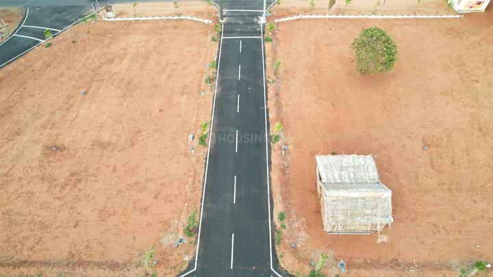 Casa Orange  Main Image 1