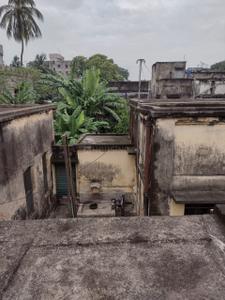 Image of 7200 Sq.ft 5 BHK Independent House for sale in Khosbagan, Bardhaman for Rs. 45000000