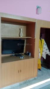 Hall Image of 1500 Sq.ft 1 BHK Builder Floor for rent in MDC Sector 4 Panchkula for Rs. 20000