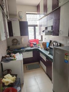 Kitchen Image of 1455 Sq.ft 3 BHK Apartment / Flat for rent in SRS Royal Hills, Sector 87 Faridabad for Rs. 32000