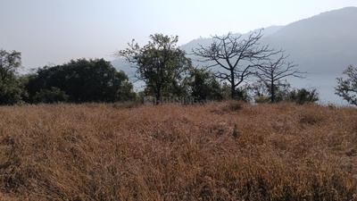 Image of 480000 Sq.ft Residential Plot / Land for sale in Panshet, Pune for Rs. 78000000