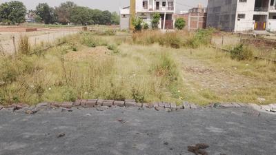 Susuwahi Plot View 3