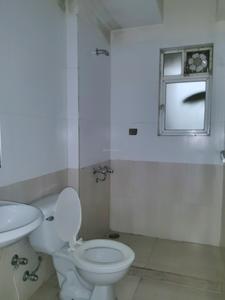 Common Bathroom Image of 600 Sq.ft 1 BHK Apartment / Flat for rent in Hiranandani Park Plaza A, Hiranandani Estate Thane for Rs. 30000