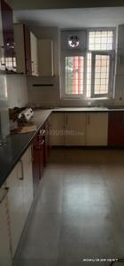 Kitchen Image of 1400 Sq.ft 2.5 BHK Apartment / Flat for rent in Mahavir Apartment, Sector 29 Noida for Rs. 38000