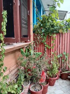 Balcony Image of 500 Sq.ft 4.5 BHK Independent House for rent in Kudi Bhagtasni Housing Board Jodhpur for Rs. 5000