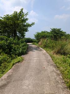 Image of 720 Sq.ft Residential Plot / Land for sale in Joka, Kolkata for Rs. 224999