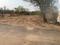 IOB Colony Plot View 2