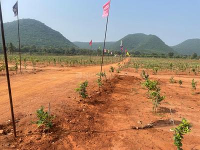 Image of 100 Sq.ft Residential Plot / Land for sale in Bhogapuram, Visakhapatnam for Rs. 600000