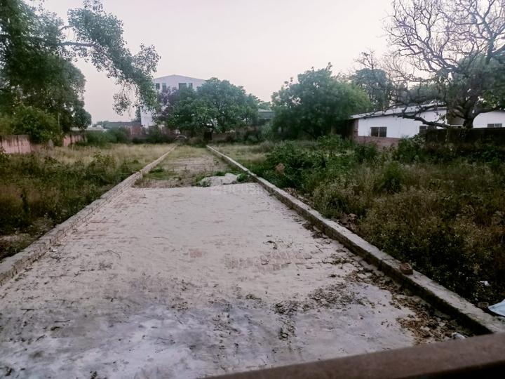 Shivpur tur Main Image 1