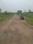 Metroplex City Internal Roads 1