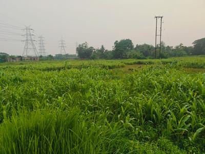 Image of 1440 Sq.ft Residential Plot / Land for sale in Sonarpur, Kolkata for Rs. 790000