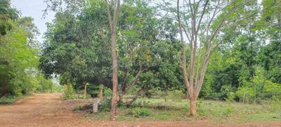 Image of 7000 Sq.ft Residential Plot / Land for sale in Vengal, Chennai for Rs. 2400000