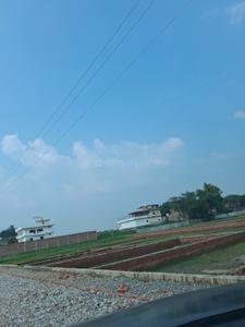 Barai Plot View 2